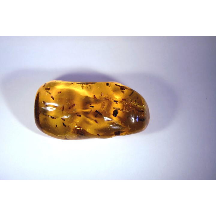 Copal: Nombreux coléoptères Scolytinae + Diptères - Antsiranana, Madagascar