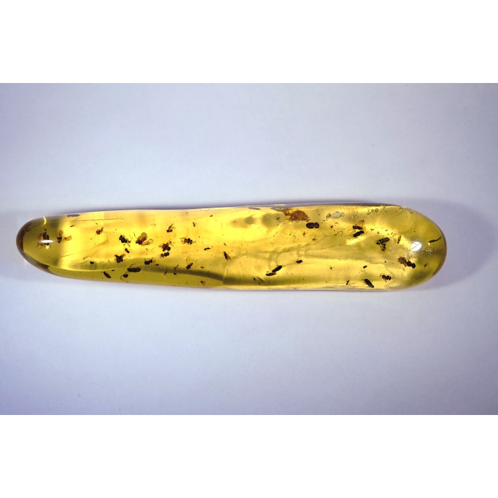 Copal: Trichoptère (Phrygane) + Nombreux diptères, coléoptères, hyménoptères - Pliocène à holocène - Antsiranana, Madagascar