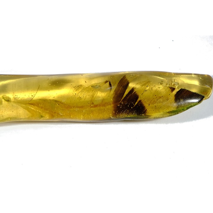 Copal: Plume + petite araignée + petits diptères - Pliocène à holocène - Antsiranana, Madagascar