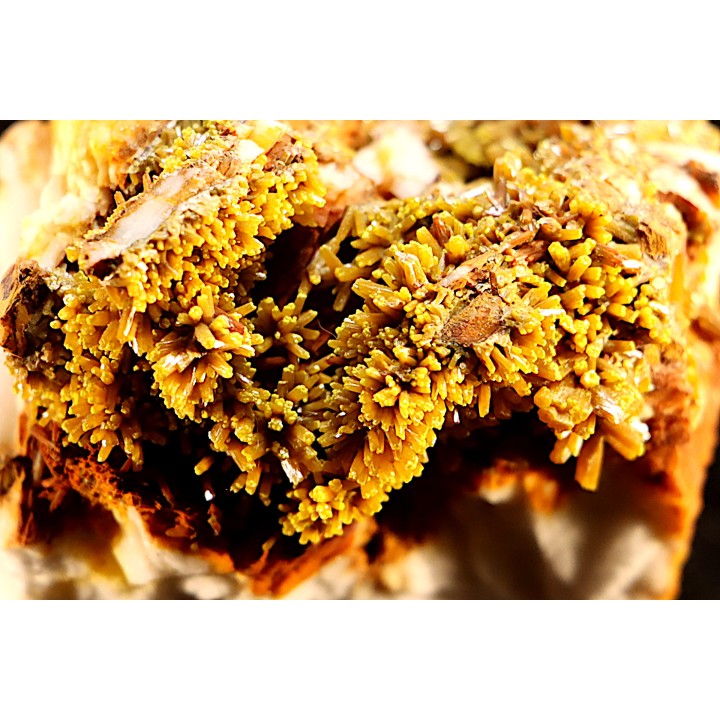 Pyromorphite - Les Farges, FRANCE