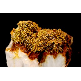 Pyromorphite - Les Farges, FRANCE