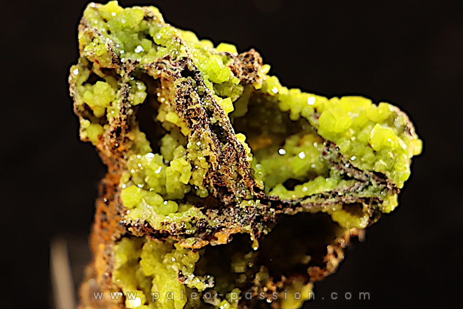 Pyromorphite - région de Moulay Bouazza - Khenifra - Meknes - Maroc