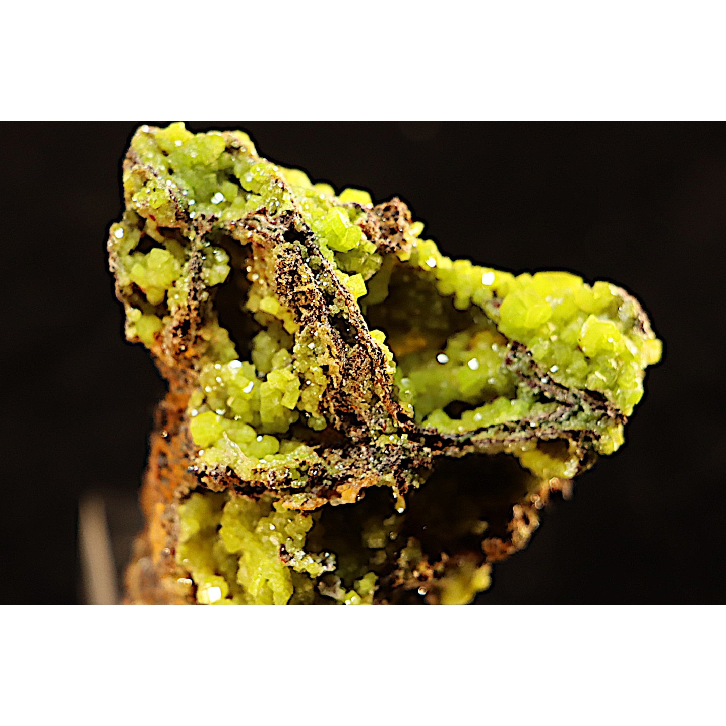 Pyromorphite - région de Moulay Bouazza - Khenifra - Meknes - Maroc