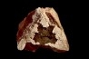 Fluorite rose - Les Droites - Mont Blanc - FRANCE