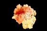 Pink Fluorite - Les Droites - Mont Blanc - FRANCE