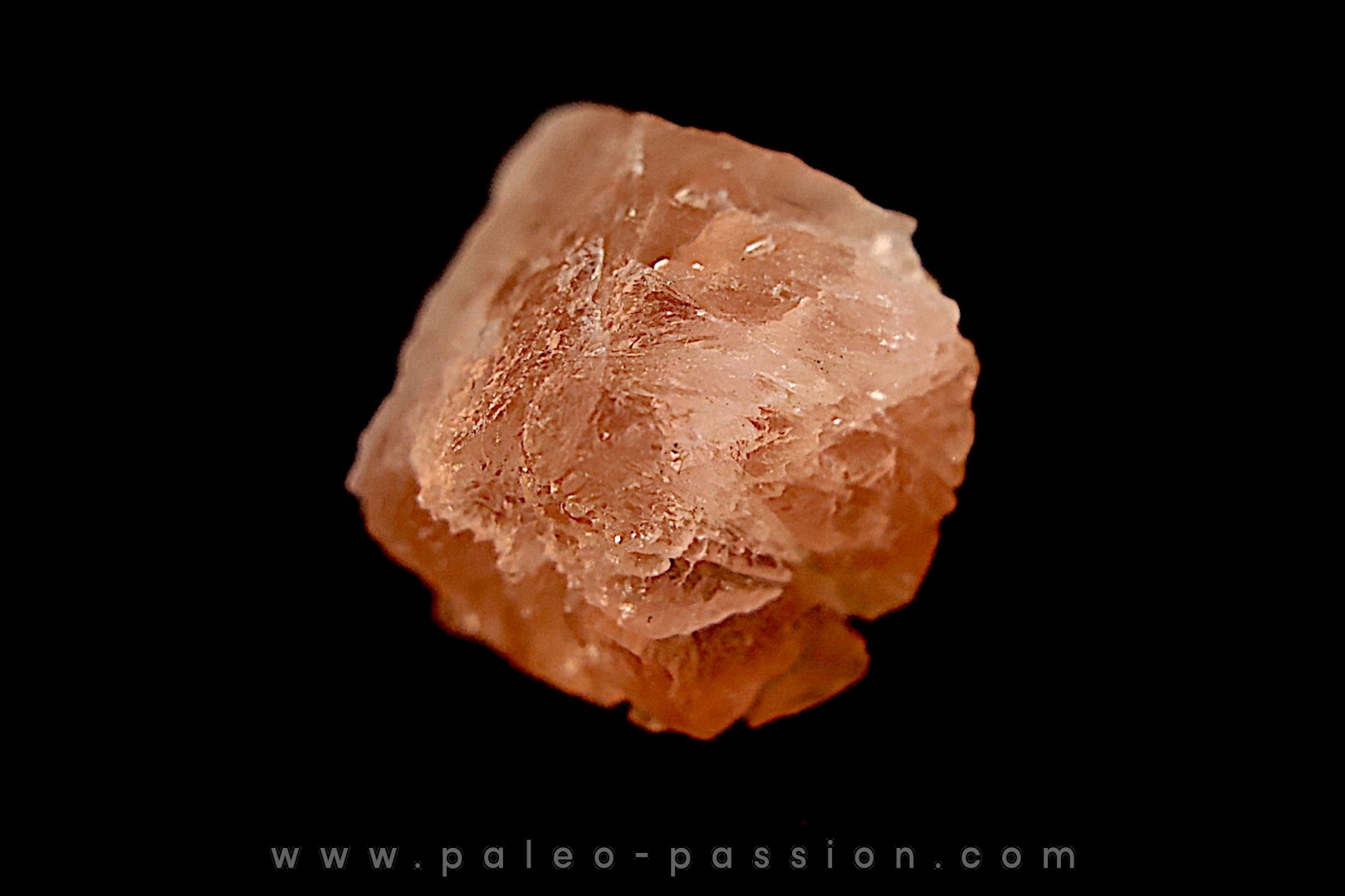 Fluorite rose - Glacier d'Argentière - Mont Blanc - FRANCE