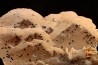 Baryte rose et Chalcopyrite sur galène - mine d'Oumjrane, région d'Alnif, Maroc