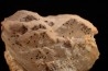 pink Baryte and Chalcopyrite on galène - Oumjrane mine, Alnif area, Morocco
