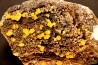 Mimetite - Sonora, MEXICO