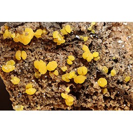 Mimetite - Sonora, MEXICO