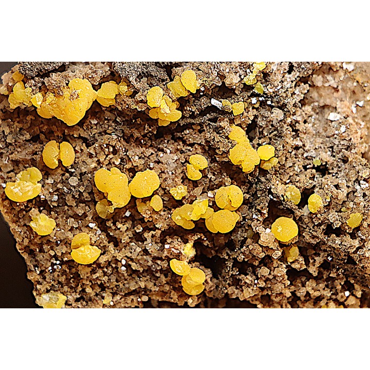 Mimetite - Sonora, MEXICO