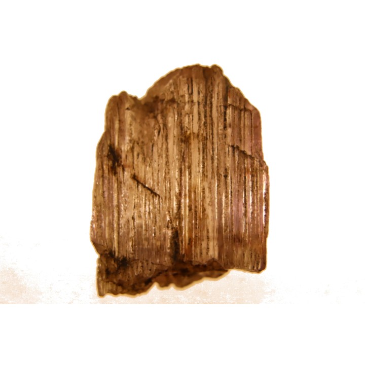 TOPOTYPE: spodumene  Kunzite - Pala, San Diego, CALIFORNIA - USA