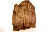 TOPOTYPE: spodumene  Kunzite - Pala, San Diego, CALIFORNIA - USA