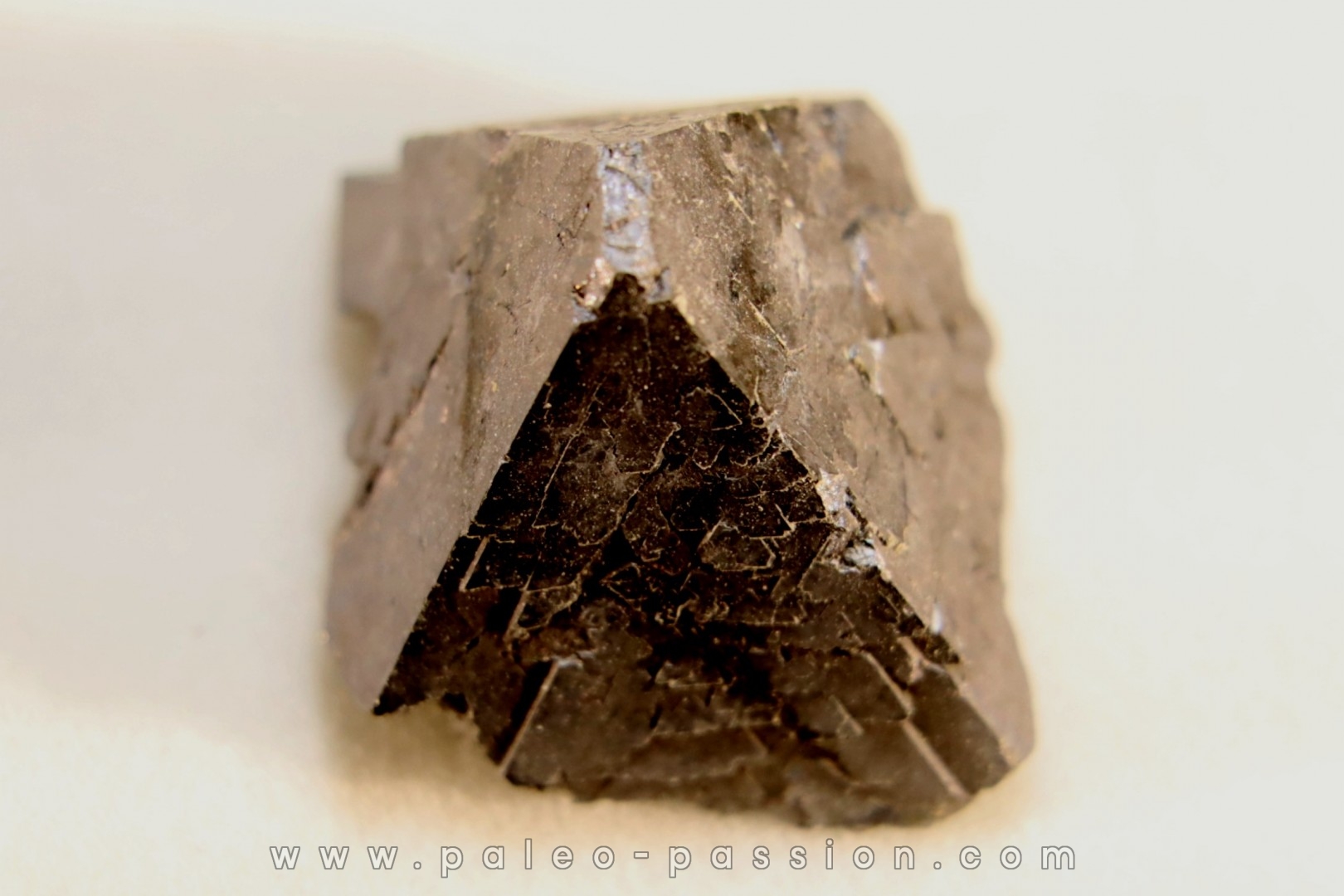 Gersdorffite - Ait Ahmane - Bou Azzer, MAROC