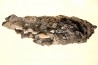 Gersdorffite - Ait Ahmane -  Bou Azzer, MOROCCO