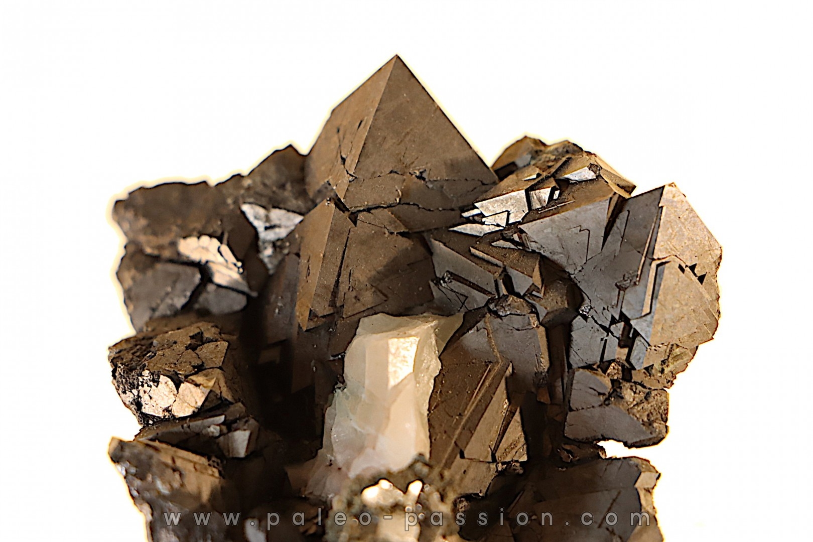 Gersdorffite - Ait Ahmane - Bou Azzer, MAROC