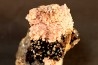 Rhodochrosite quartz et goethite - Chihuahua, Mexique