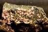 Rhodochrosite - Chihuahua, Mexique