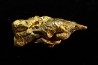 NATIVE CRISTALLISED GOLD - Bretagne, France