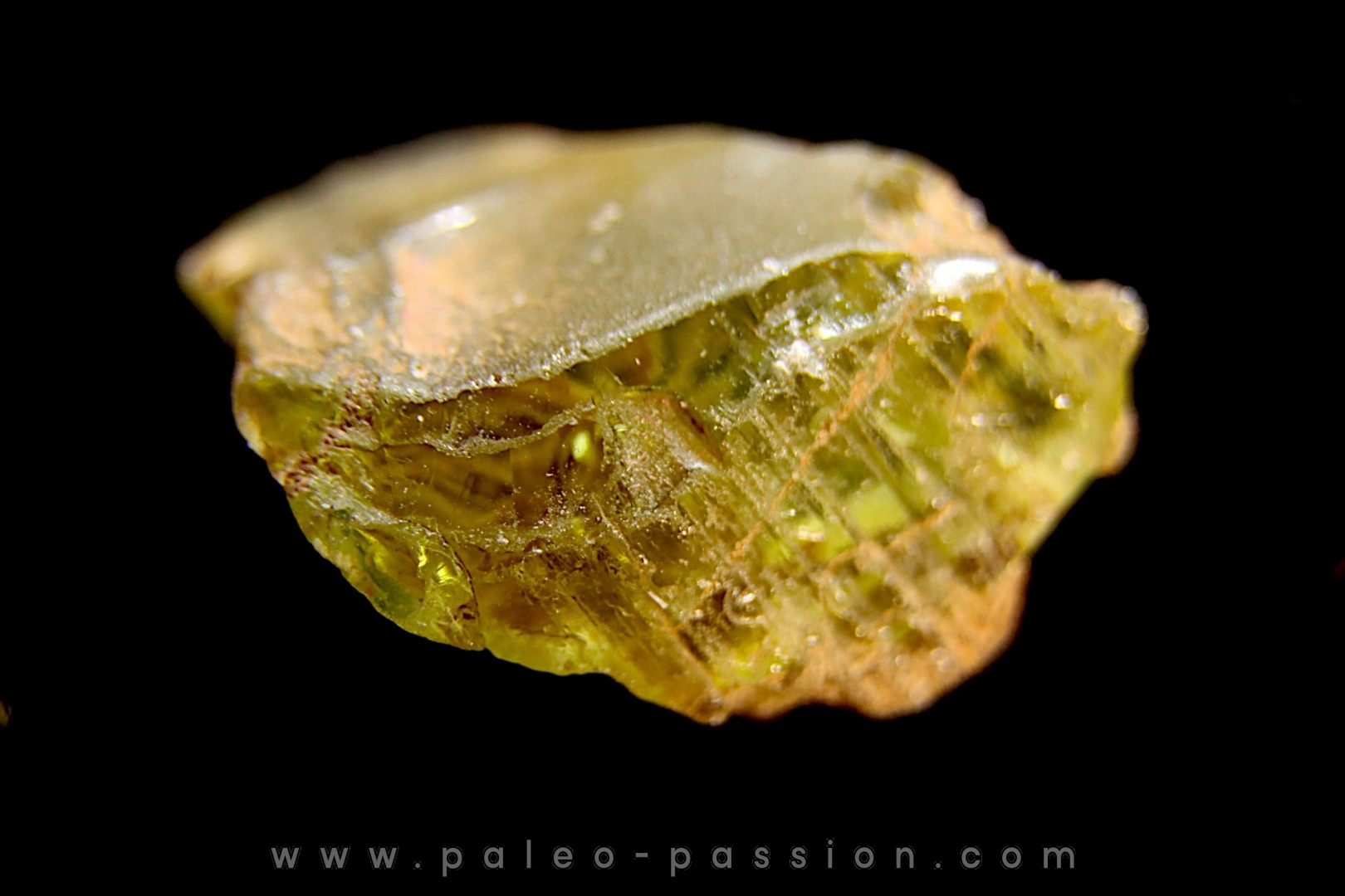 PERIDOT ile Saint Jean, Mer Rouge, Egypte