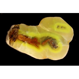 SMITHSONITE  M Fouati - Congo