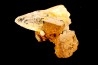 QUARTZ  Binn, Valais, Suisse