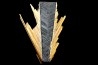 Rutile and Hematite - Novo Horizonte, Bahia, Brasil