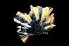 Rutile et Hematite   Novo Horizonte, Bahia, Bresil