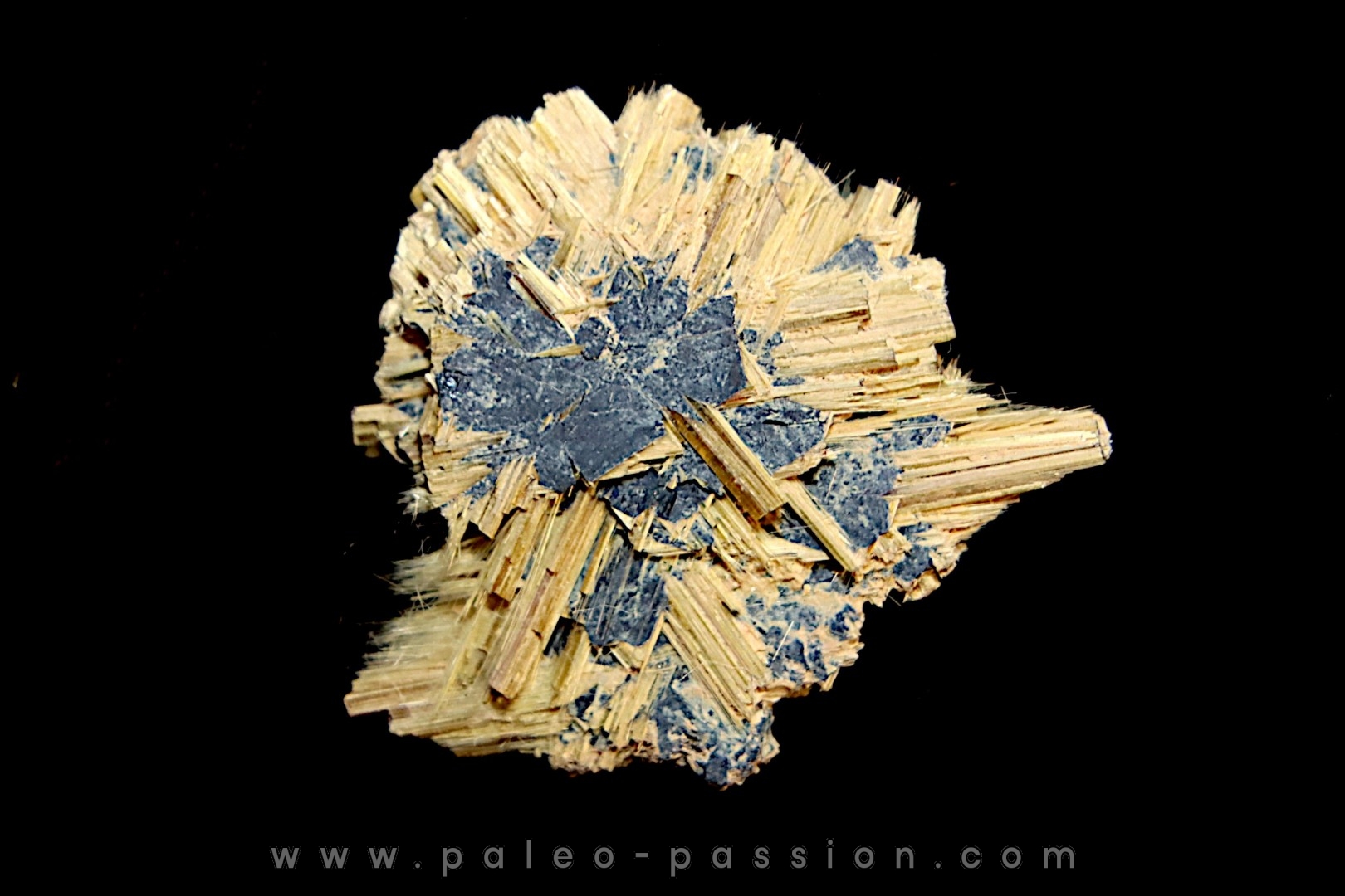 Rutile and Hematite - Novo Horizonte, Bahia, Brasil