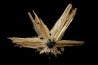 Rutile et Hematite   Novo Horizonte, Bahia, Bresil