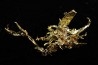 native gold  Olinghouse Mine, Washoe County, Nevada, USA