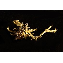 native gold  Olinghouse Mine, Washoe County, Nevada, USA