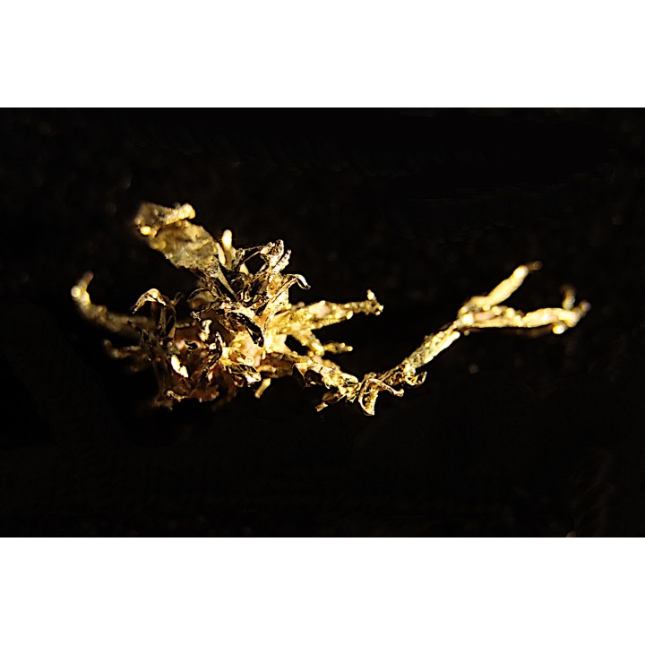 native gold  Olinghouse Mine, Washoe County, Nevada, USA