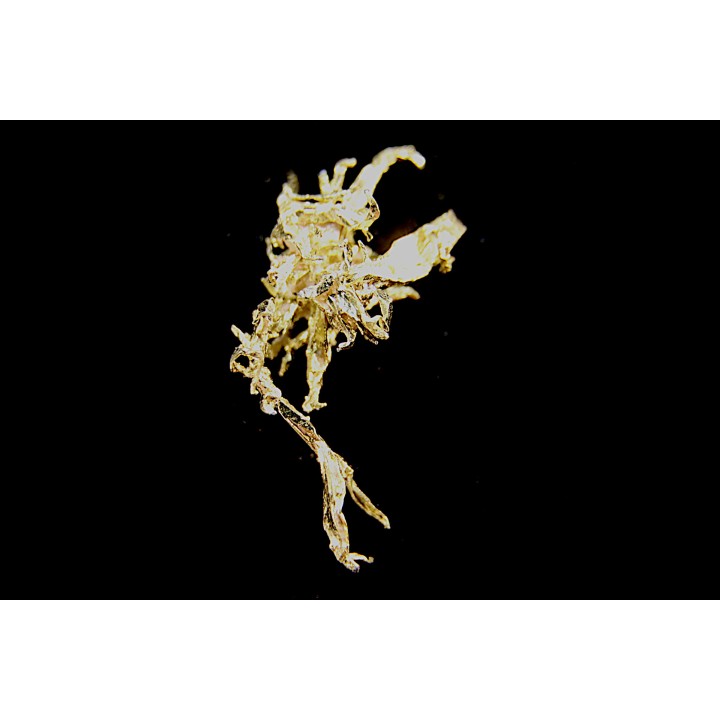 native gold  Olinghouse Mine, Washoe County, Nevada, USA