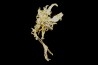 native gold  Olinghouse Mine, Washoe County, Nevada, USA