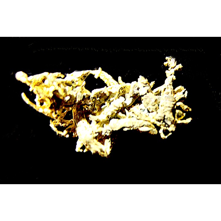 native gold  Olinghouse Mine, Washoe County, Nevada, USA