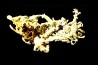 or natif Olinghouse Mine, Washoe County, Nevada, USA