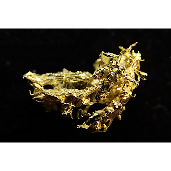 native gold  Olinghouse Mine, Washoe County, Nevada, USA