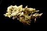 native gold Olinghouse Mine, Washoe County, Nevada, USA