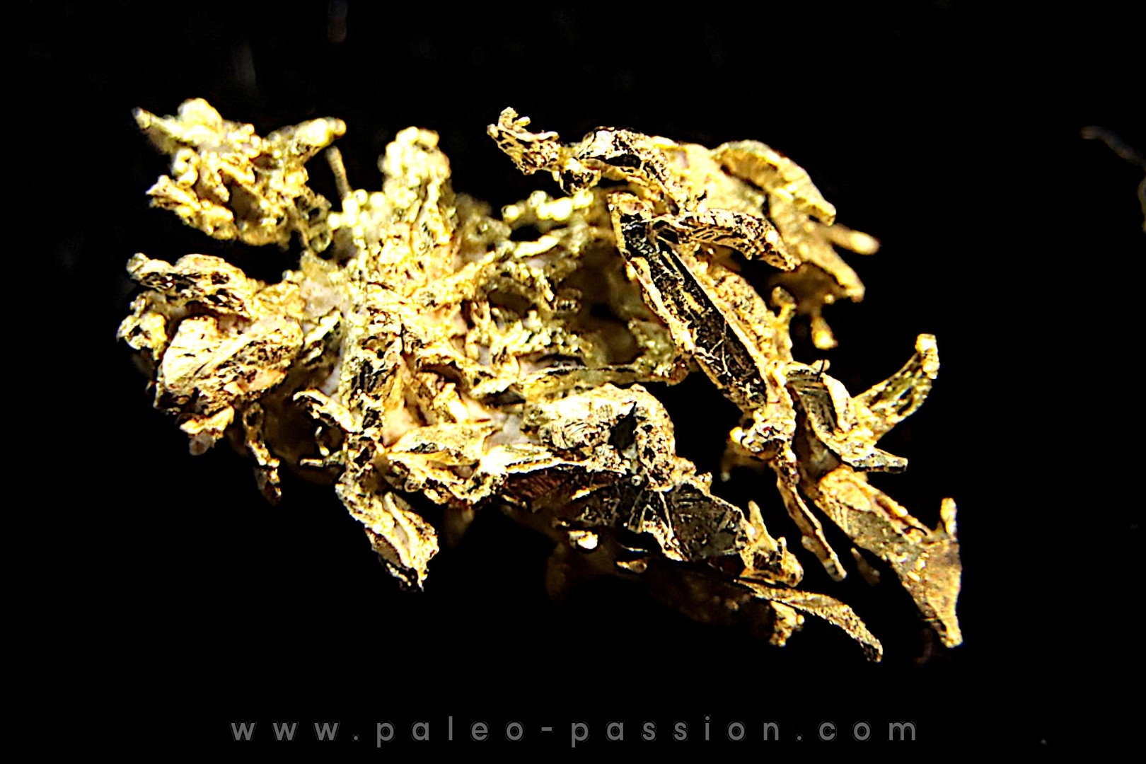 native gold Olinghouse Mine, Washoe County, Nevada, USA