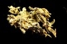 native gold Olinghouse Mine, Washoe County, Nevada, USA