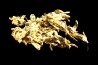 native gold Olinghouse Mine, Washoe County, Nevada, USA