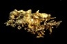 native gold Olinghouse Mine, Washoe County, Nevada, USA