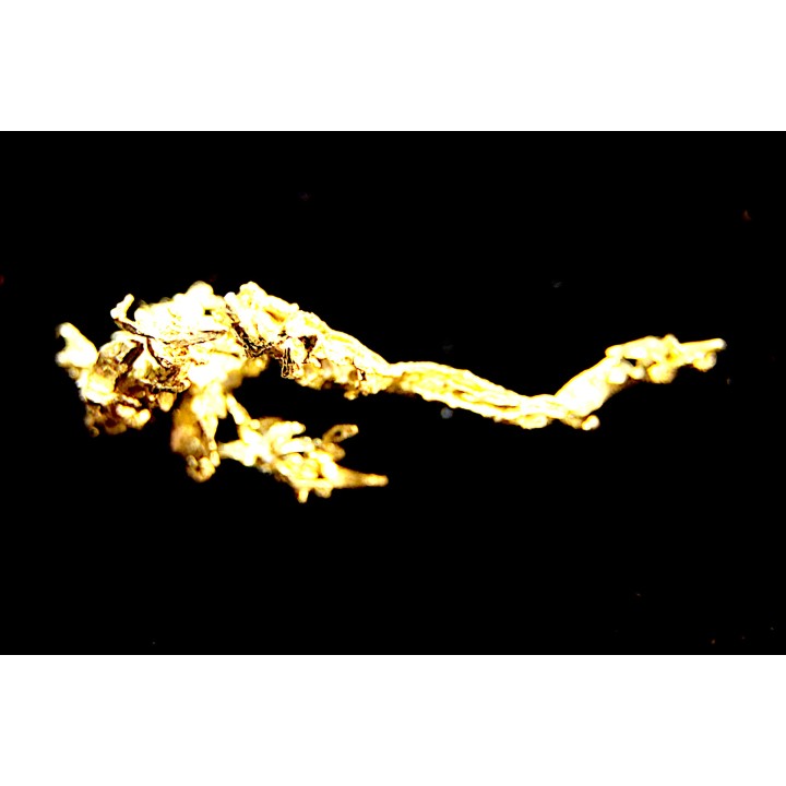 native gold  Olinghouse Mine, Washoe County, Nevada, USA