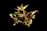 native gold Olinghouse Mine, Washoe County, Nevada, USA