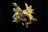 or natif  Olinghouse Mine, Washoe County, Nevada, USA