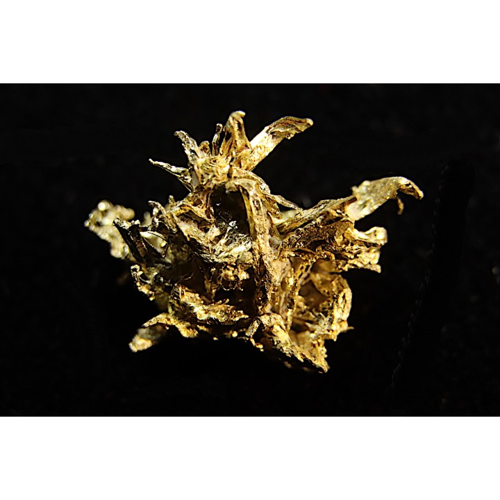 native gold  Olinghouse Mine, Washoe County, Nevada, USA