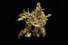 native gold Olinghouse Mine, Washoe County, Nevada, USA