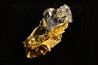 or natif Olinghouse Mine, Washoe County, Nevada, USA
