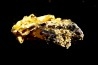 or natif Olinghouse Mine, Washoe County, Nevada, USA